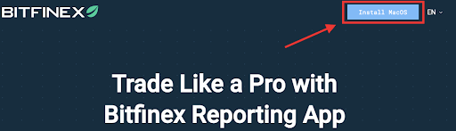Full_Tax_Report_-_Bitfinex_Reporting_Application___1_.png